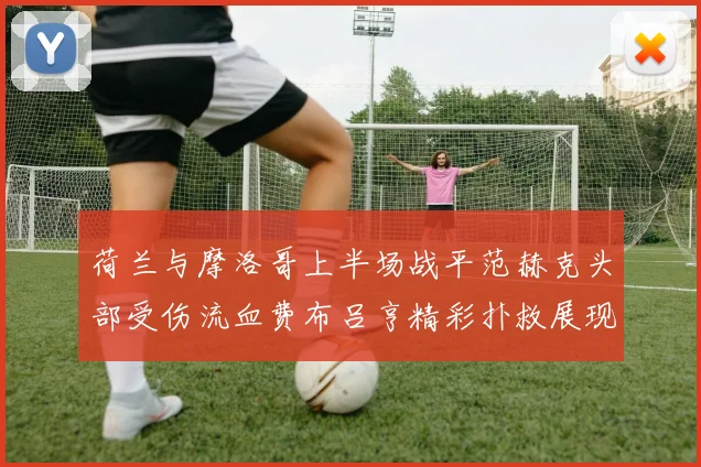 荷兰与摩洛哥上半场战平范赫克头部受伤流血费布吕亨精彩扑救展现实力